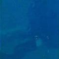 Wissmach Sea Blue Luminescent 96COE