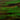 Wissmach Green/Brown Wisspy Opal