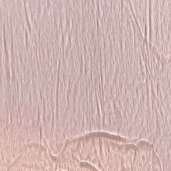 Yough Urobium Pink Cathedral 96COE